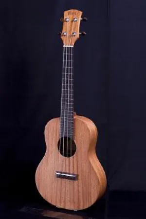 AYERS Uluru II ( Concert ) Ukulele