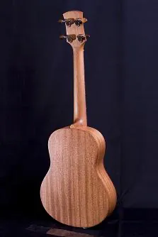 AYERS Uluru II ( Concert ) Ukulele