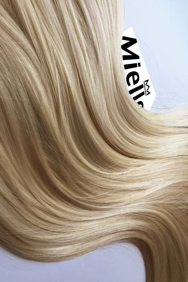 Champagne Blonde 8 Piece Clip Ins - Straight Hair