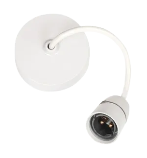 Click PRC033 9" T2, BC Ceiling Pendant Set