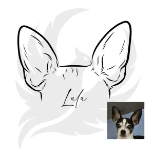 Custom Pet Ear Outline Drawing