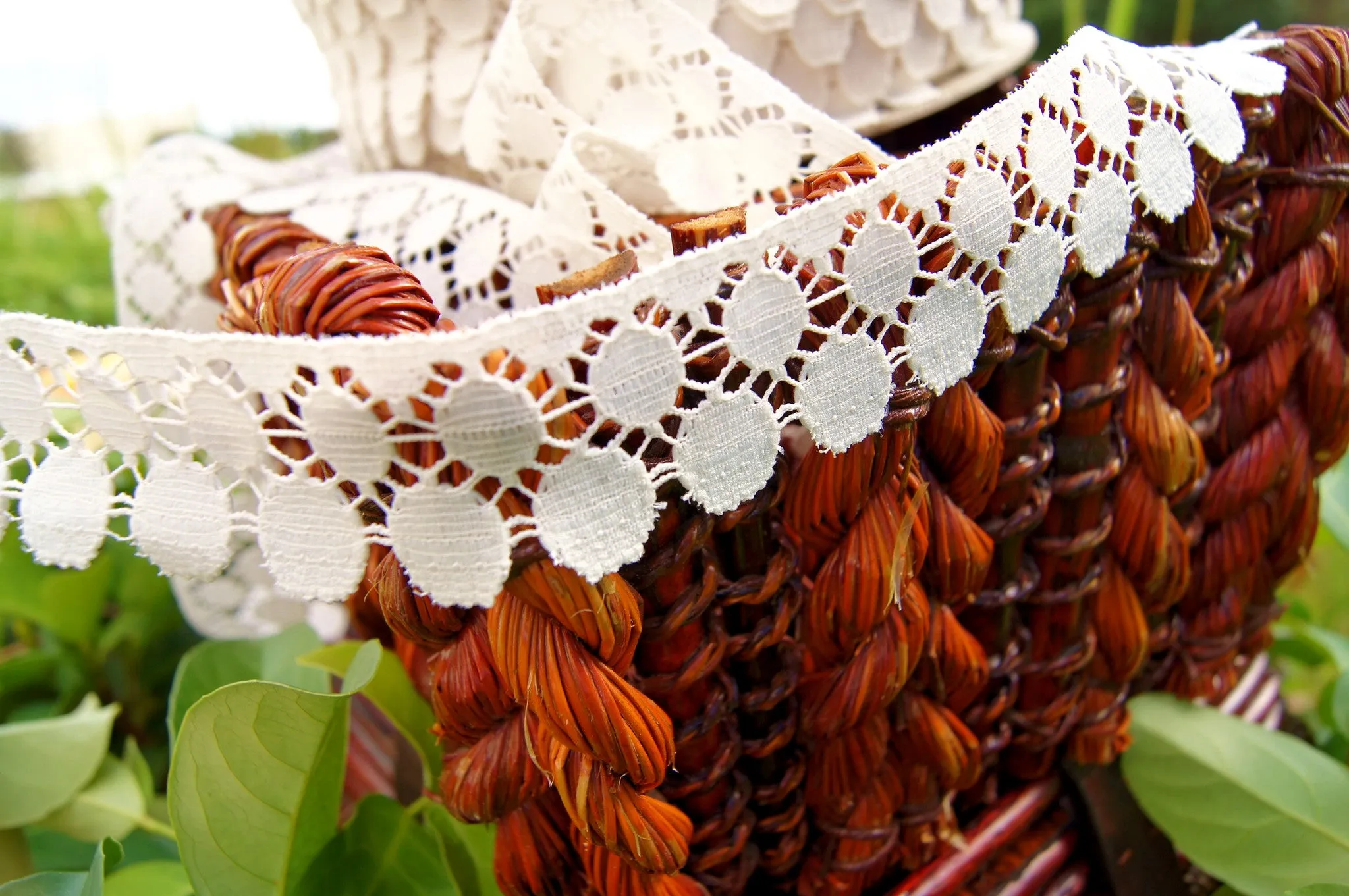 Exclusive Circular Lace Design Edging - Off White 1¼" wide