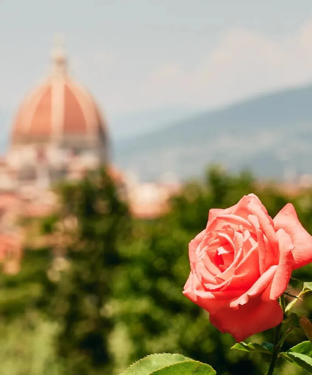 Florence - Rose Neroli Deodorant Spray