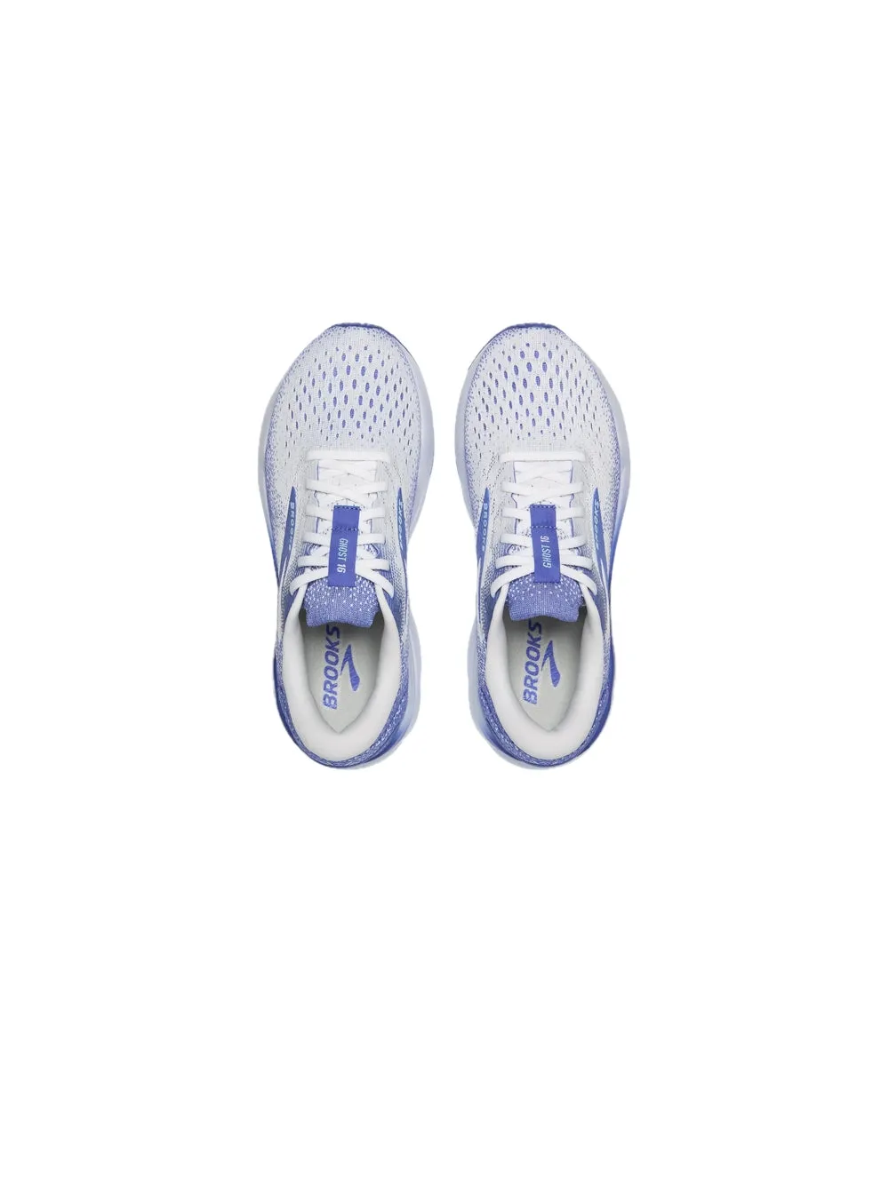 Ghost 16 - White Amparo Blue Limpet Shell
