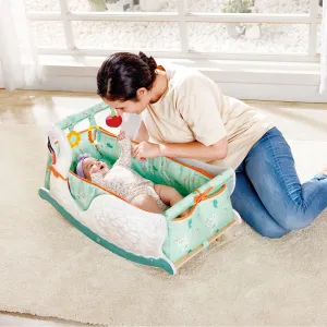 Hape 2 In 1 Swan