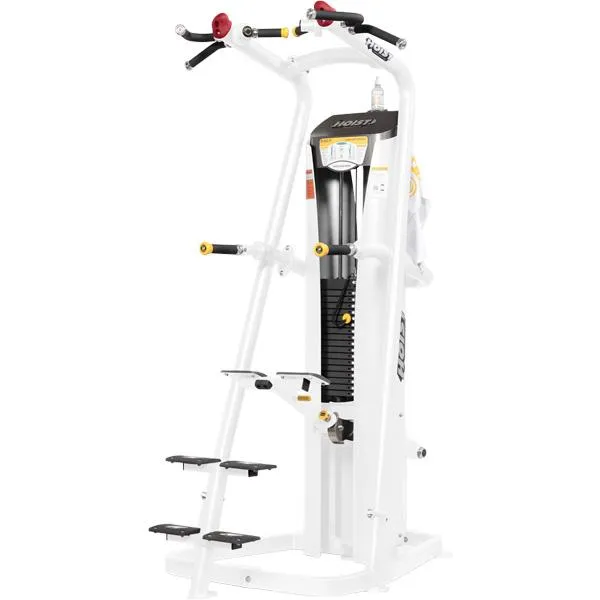 Hoist Chin/Dip Assist RS-1700