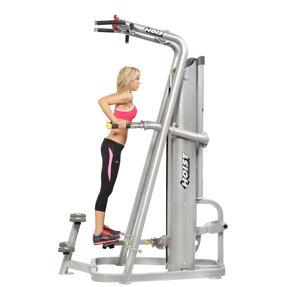 Hoist Chin/Dip Assist RS-1700