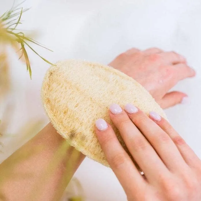 Large Exfoliating Loofah - Set of 3