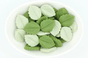 Leaf