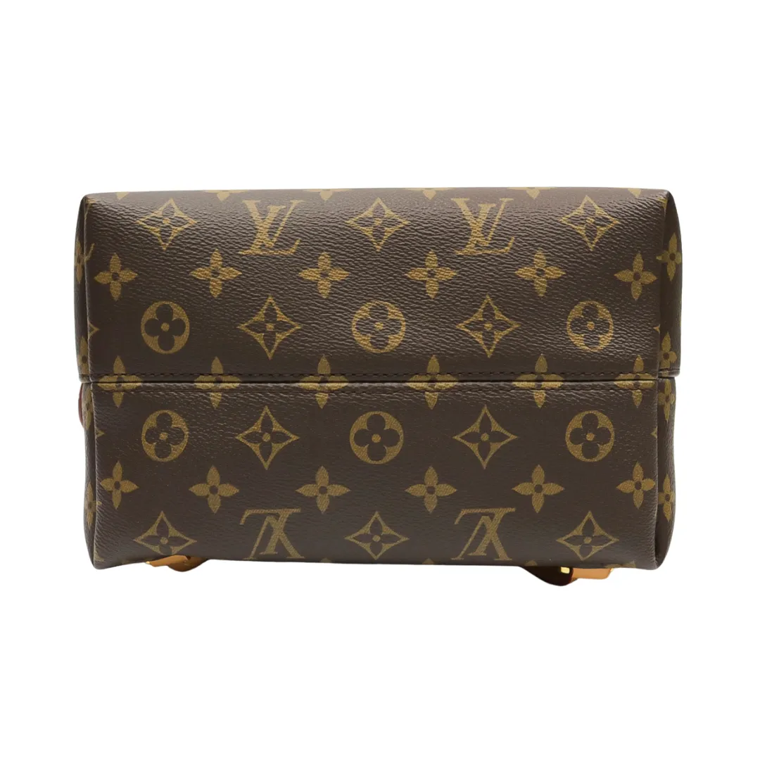 LOUIS VUITTON MONTSOURIS PM MONOGRAM
