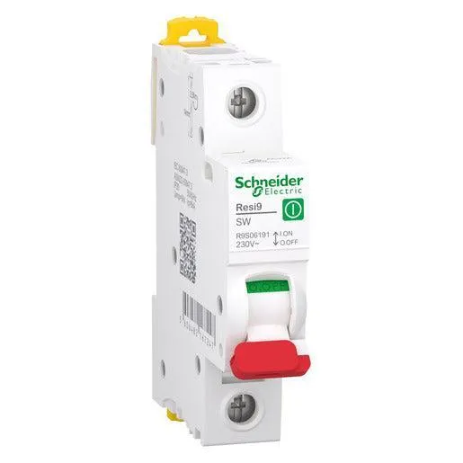 Main Switch Schneider 1P 100 Amp