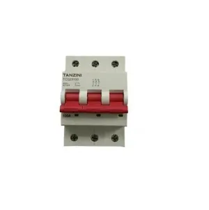 Main Switch Tanzini 100 Amp 3P