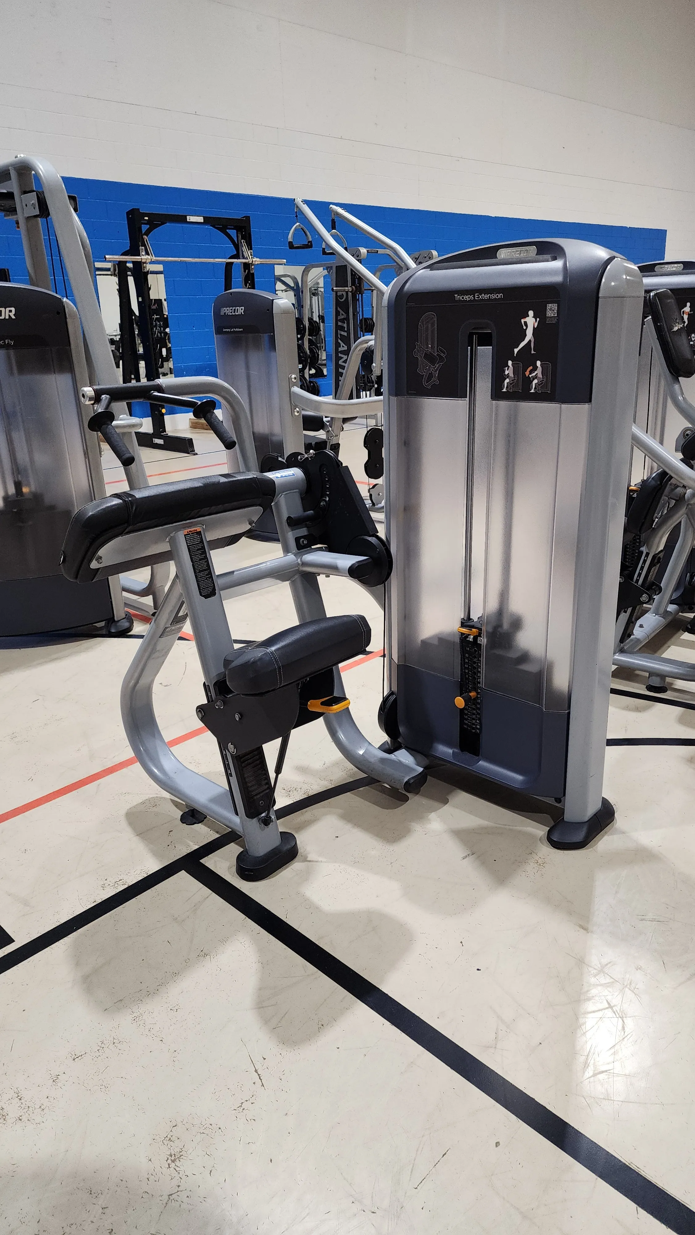 Precor Discovery Triceps Extension DSL0208