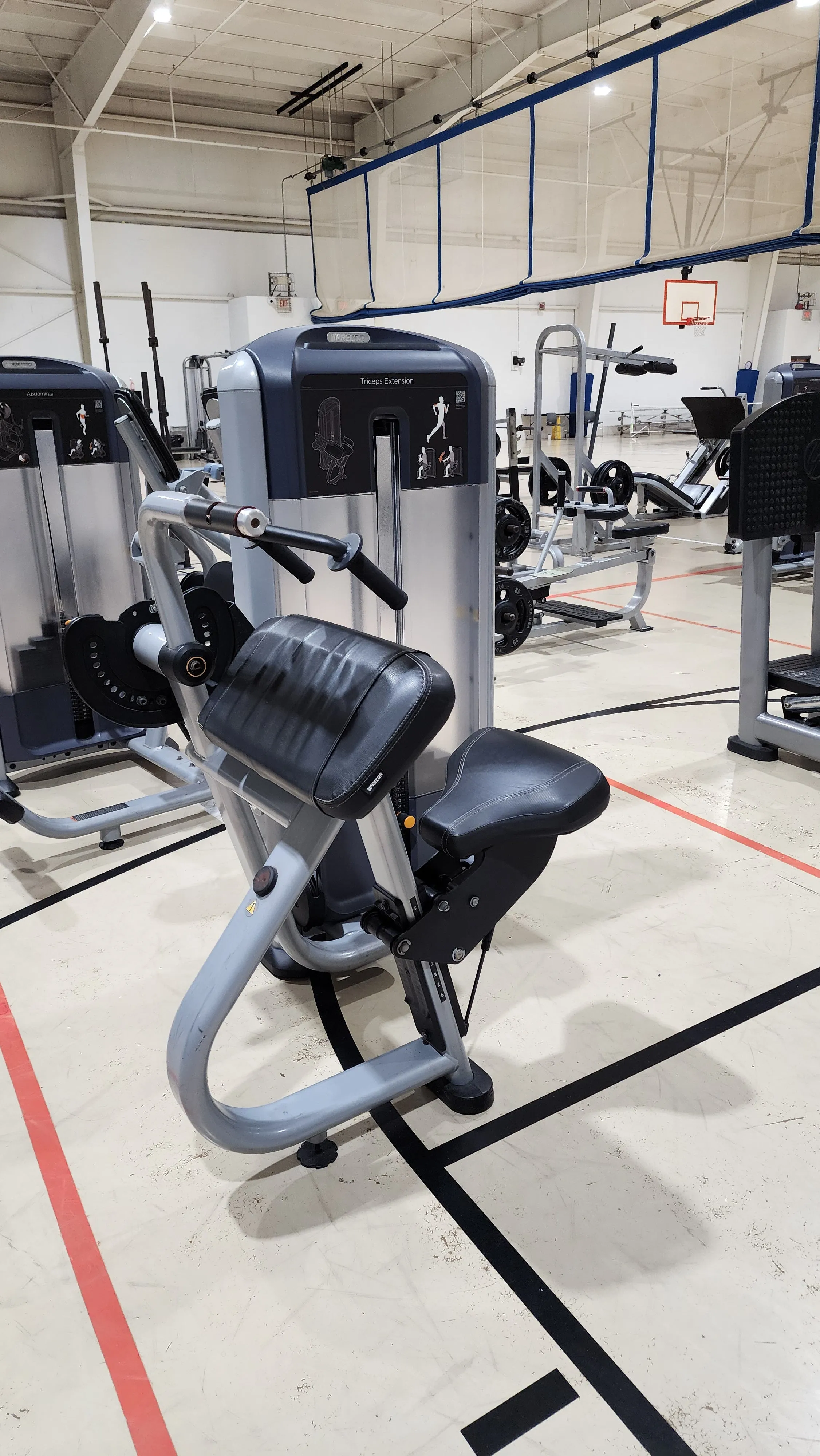 Precor Discovery Triceps Extension DSL0208