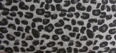 RAWR'N Cheetah Wallet