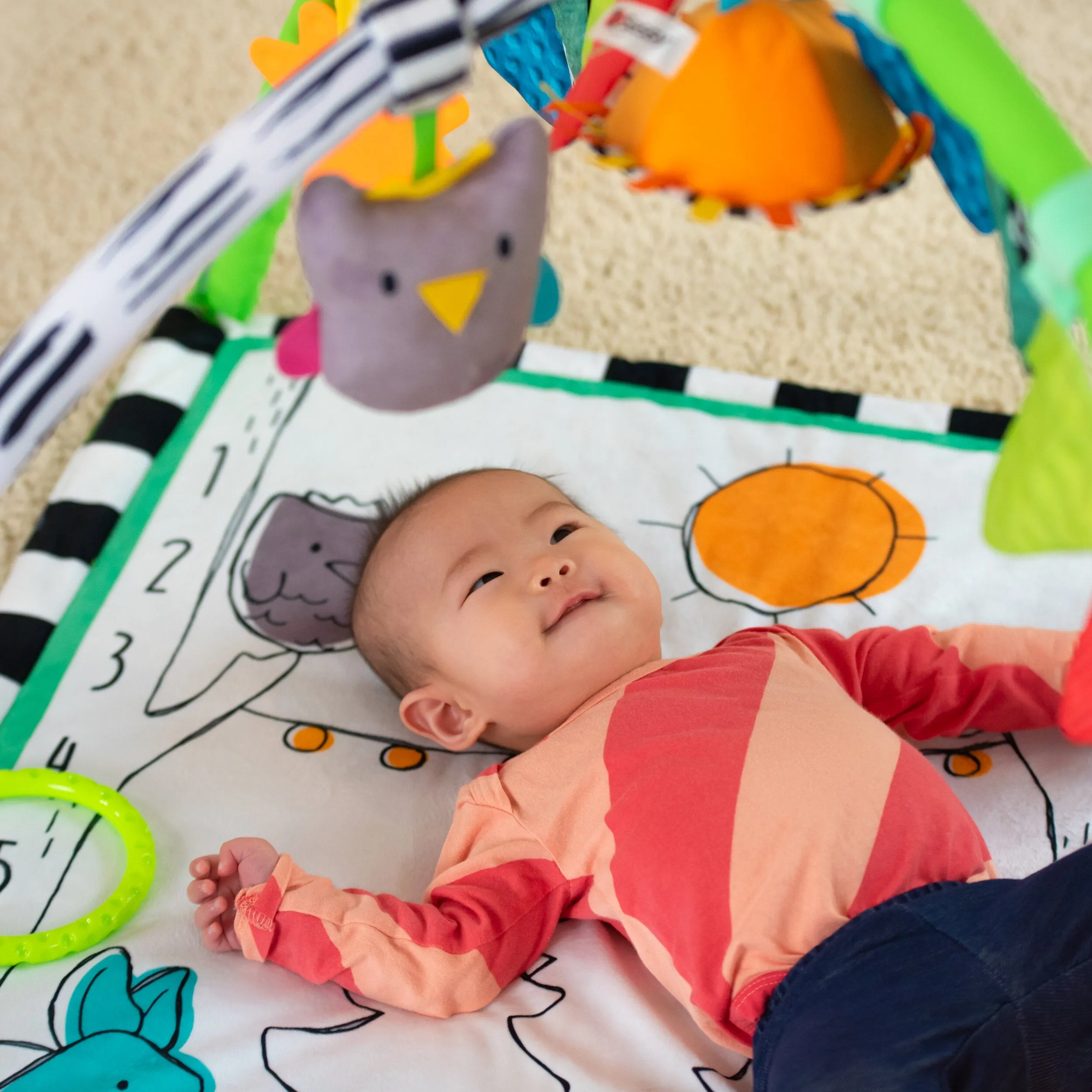 Sassy Baby Gone Campin' Play Gym