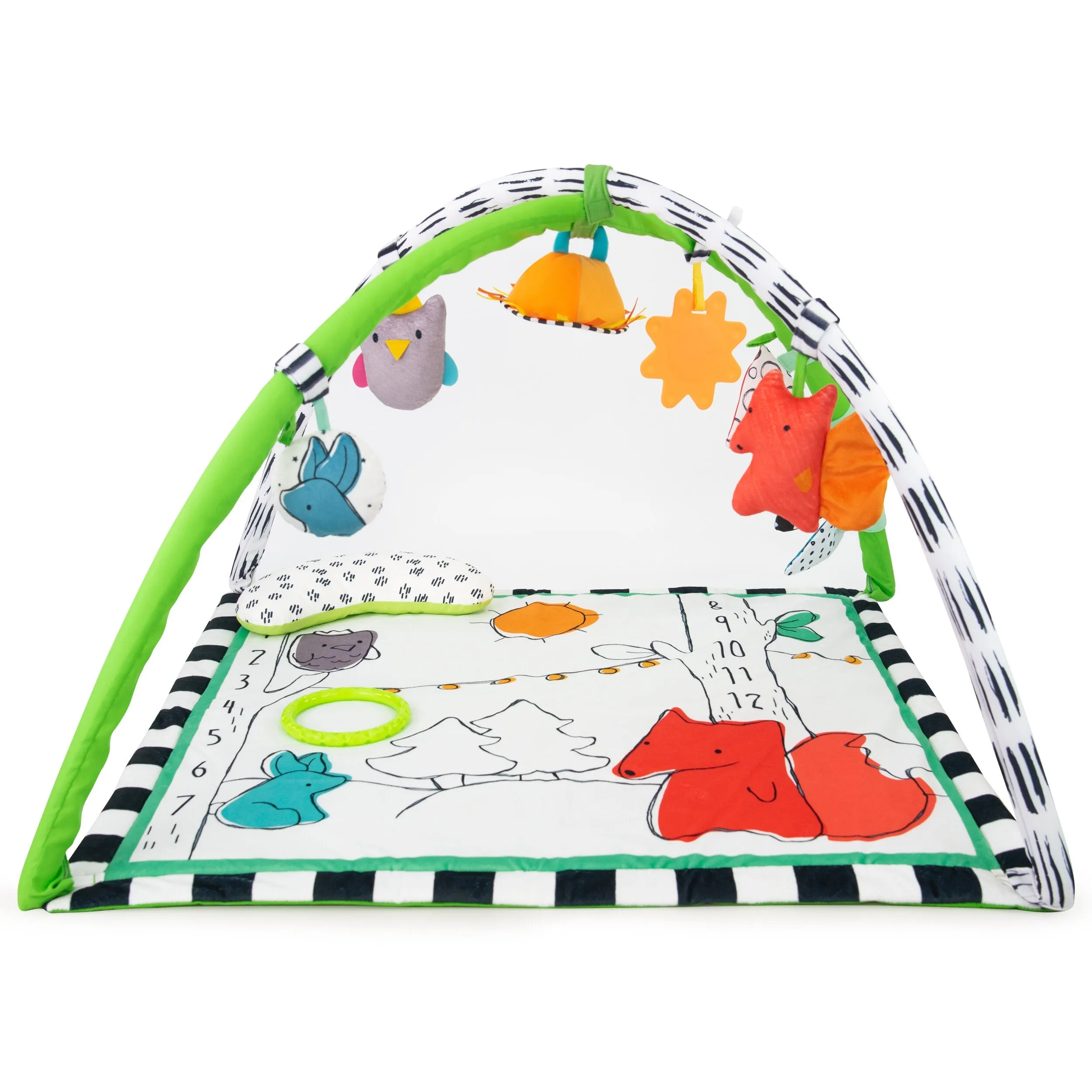 Sassy Baby Gone Campin' Play Gym
