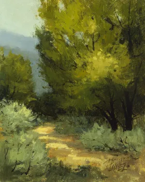 Sunlit Ramble