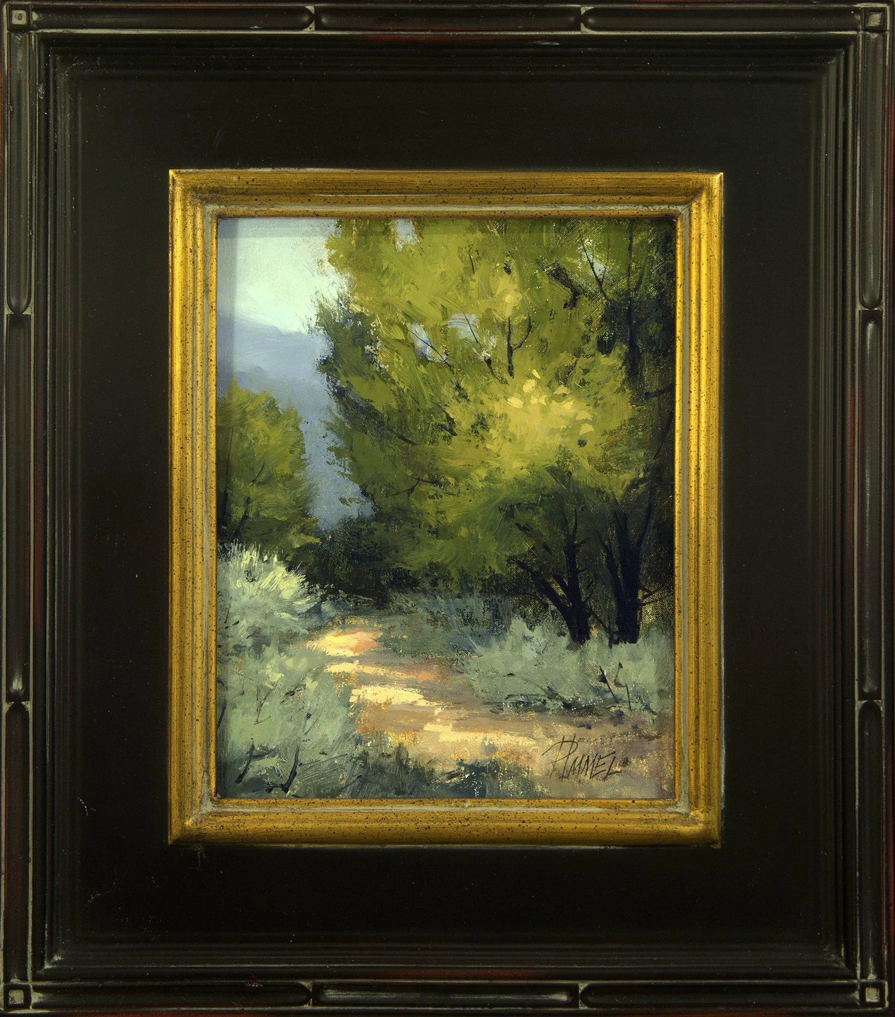 Sunlit Ramble