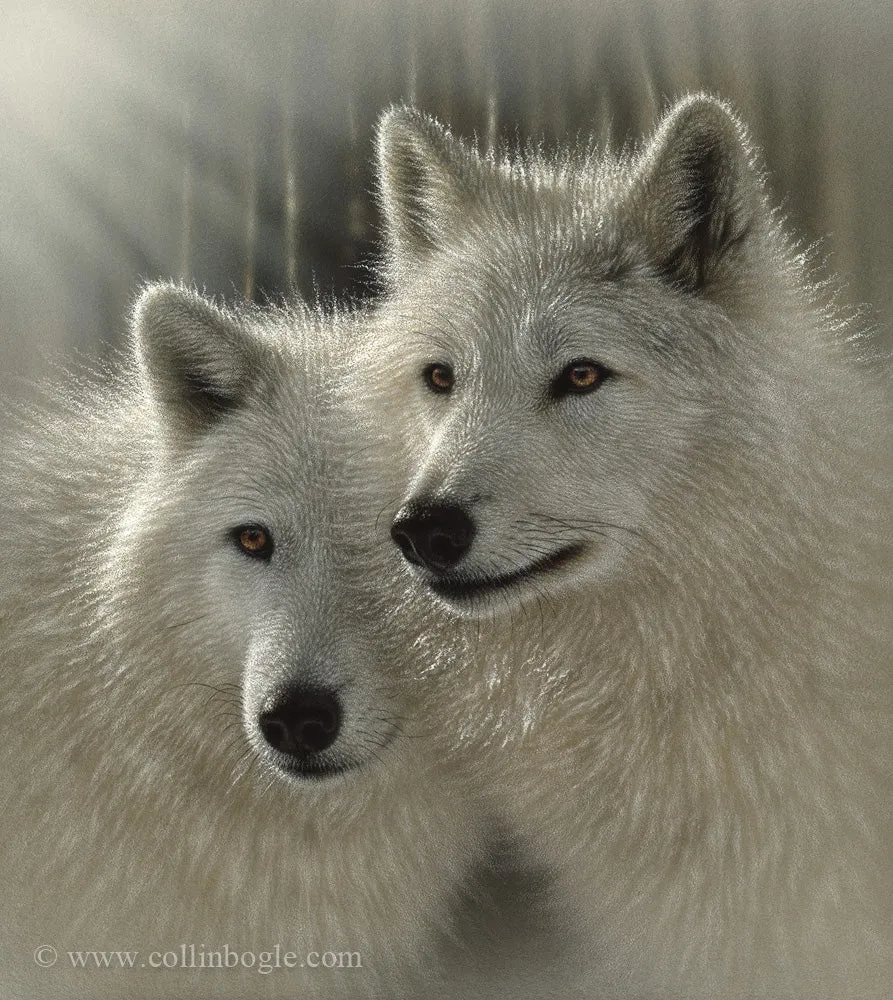 Sunlit Soulmates - Wolves