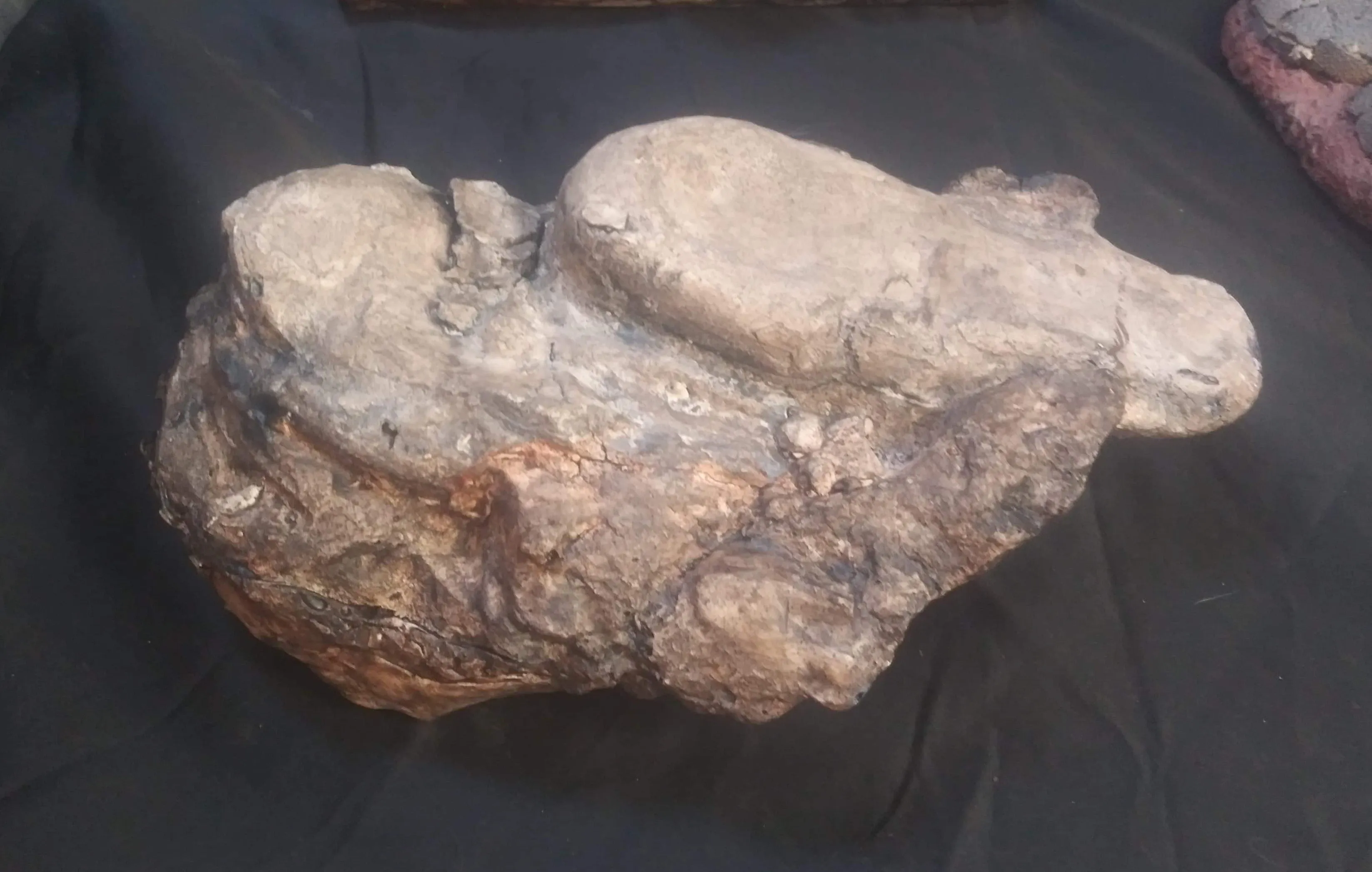 Velociraptor egg nest Dinosaur fossil egg cast for sale Replica Dinosaur Reproductions