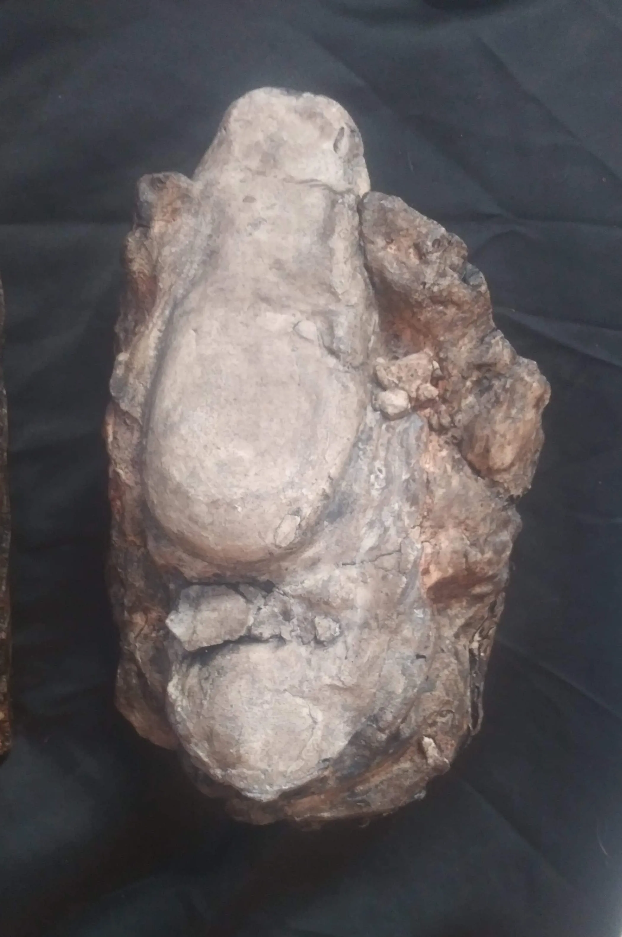 Velociraptor egg nest Dinosaur fossil egg cast for sale Replica Dinosaur Reproductions
