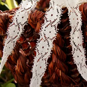 Vintage Cream Floral Picot Lace Trim ¾" wide