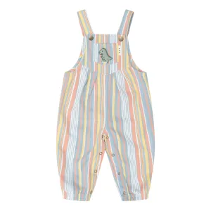 Vintage Stripe Overall